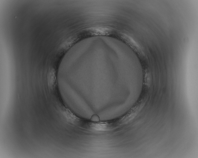 X0000111460318200908031345