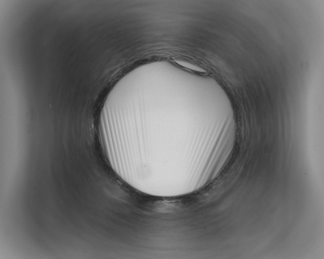 X0000111460320200908031345