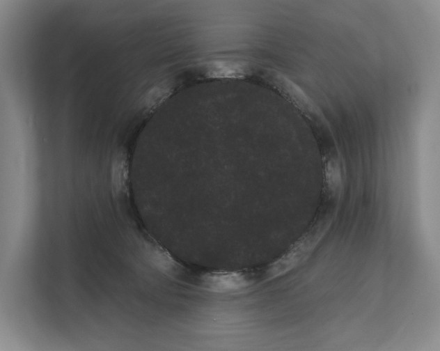 X0000111460322200908031345