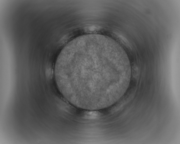 X0000111460324200908031345