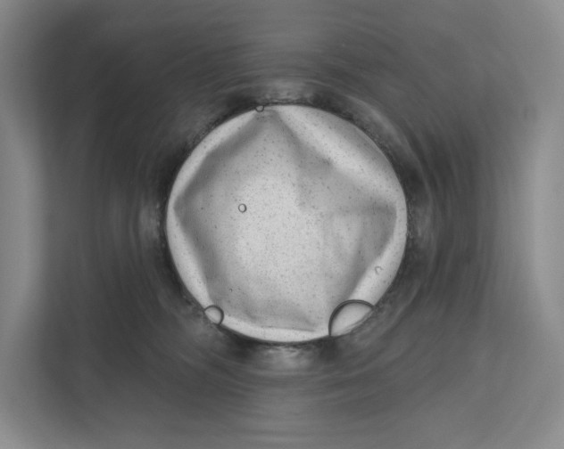 X0000111460326200908031345