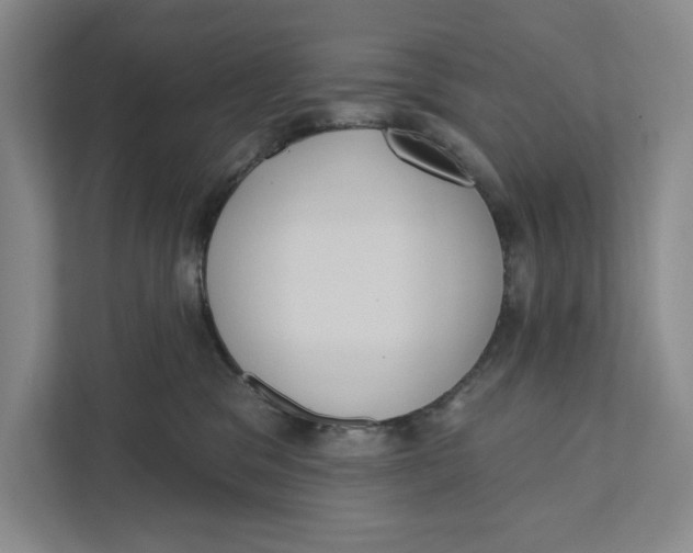 X0000111460329200908031345