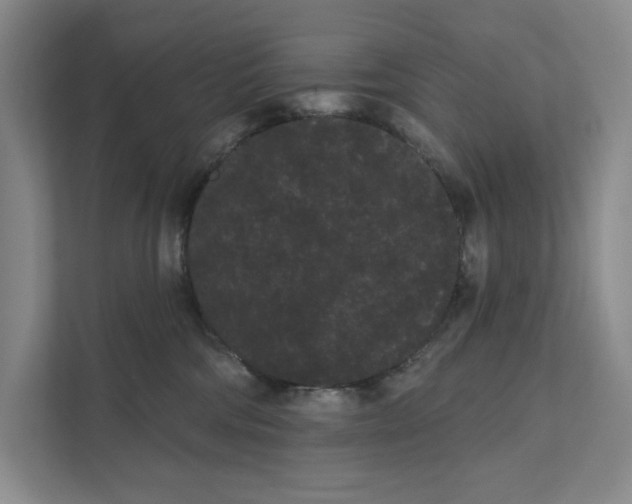 X0000111460330200908031345