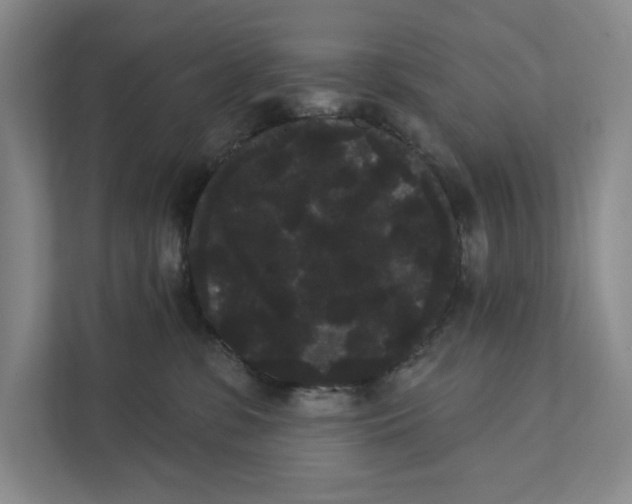 X0000111460331200908031345