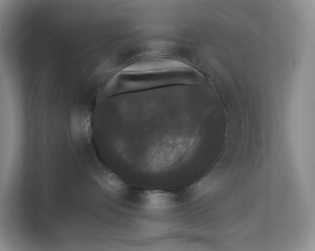 X0000111460336200908031345