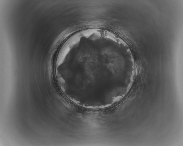 X0000111460339200908031344