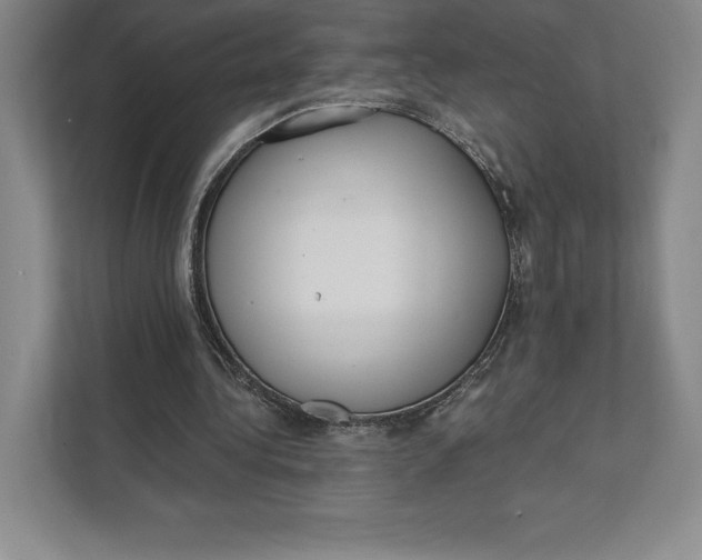 X0000111460340200908031344