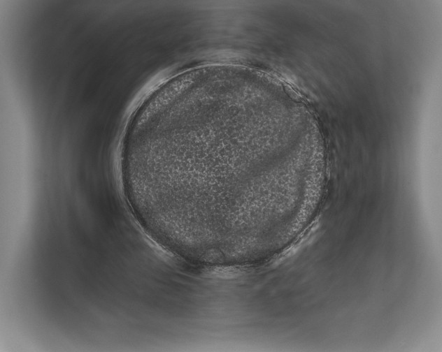 X0000111460341200908031344