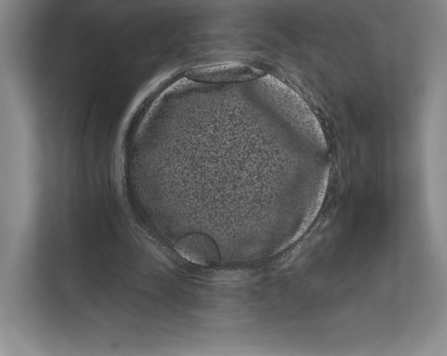 X0000111460342200908031344