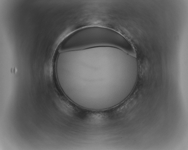 X0000111460344200908031344