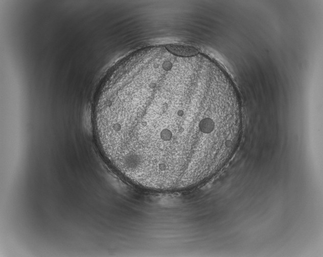 X0000111460345200908031344