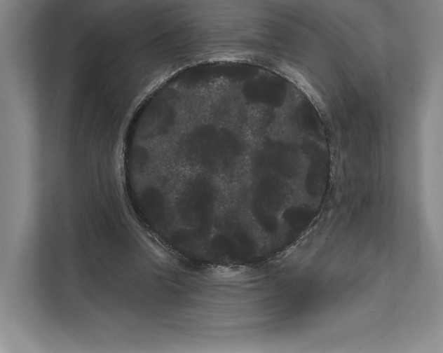 X0000111460346200908031344