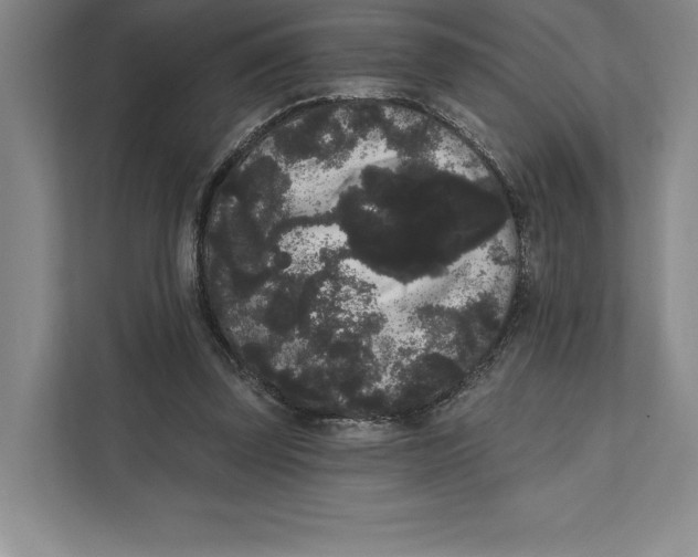 X0000111460347200908031344