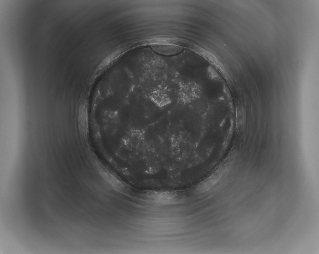 X0000111460349200908031344