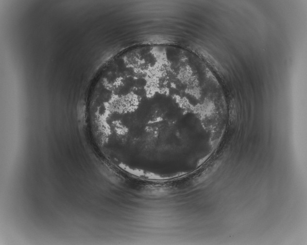 X0000111460351200908031344