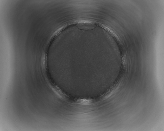 X0000111460352200908031344