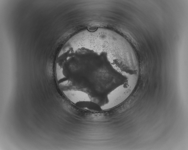 X0000111460353200908031344