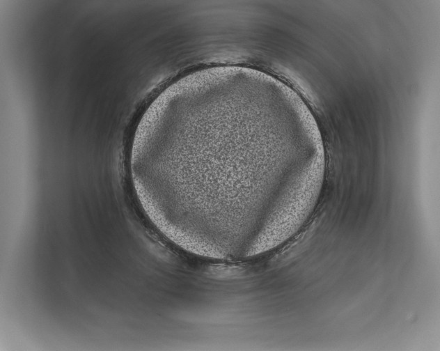 X0000111460354200908031344