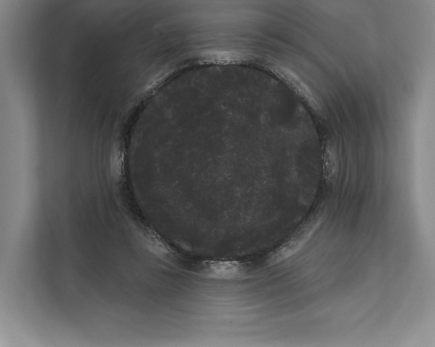 X0000111460355200908031344