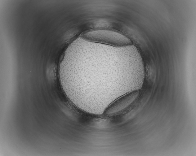 X0000111460356200908031344