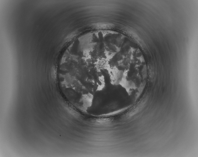 X0000111460357200908031344