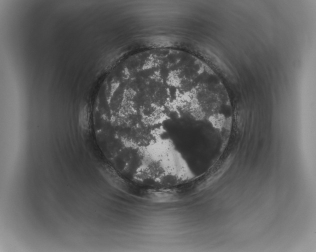 X0000111460359200908031344
