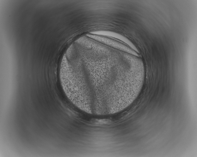 X0000111460360200908031344