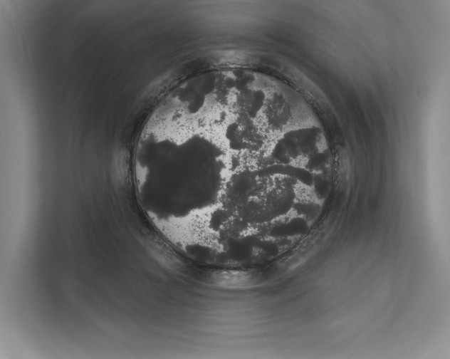 X0000111460361200908031344