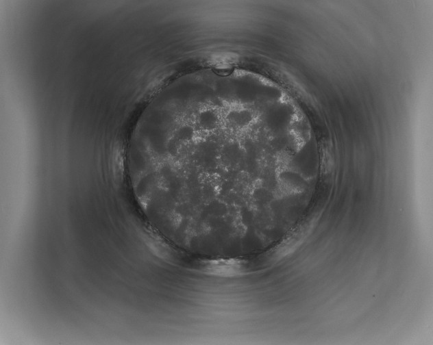 X0000111460363200908031344