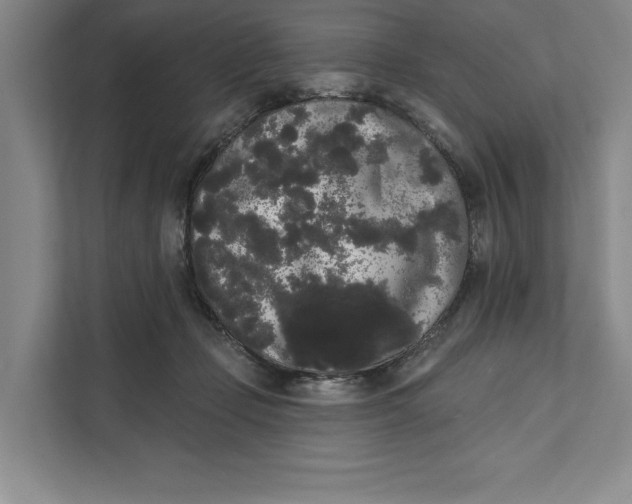 X0000111460365200908031344