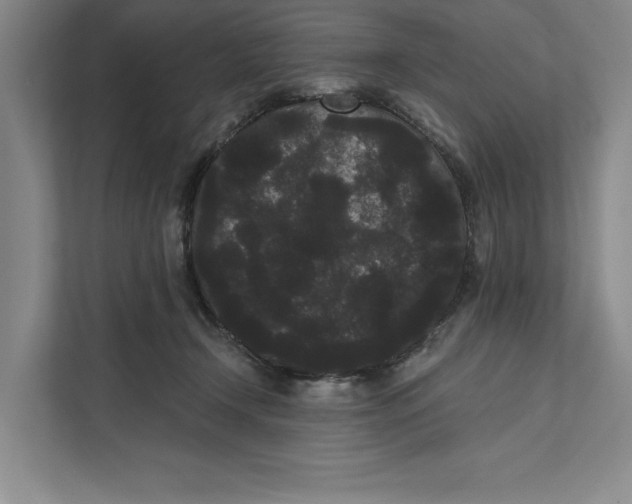 X0000111460366200908031344