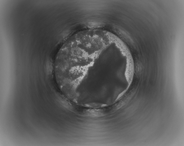 X0000111460367200908031344