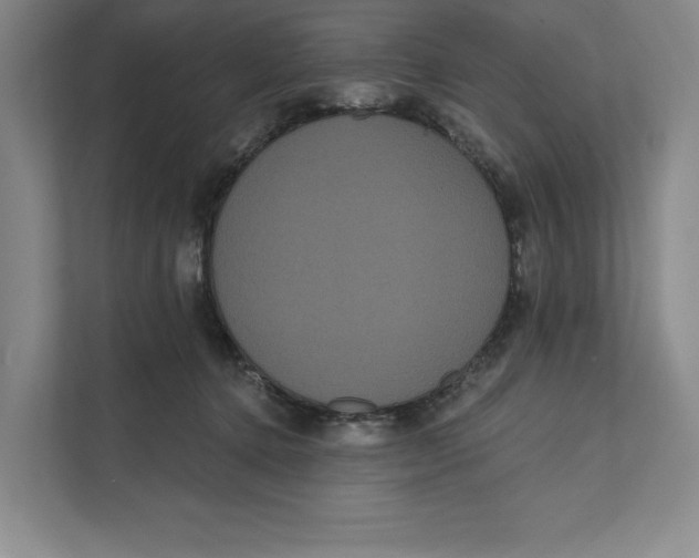 X0000111460368200908031344