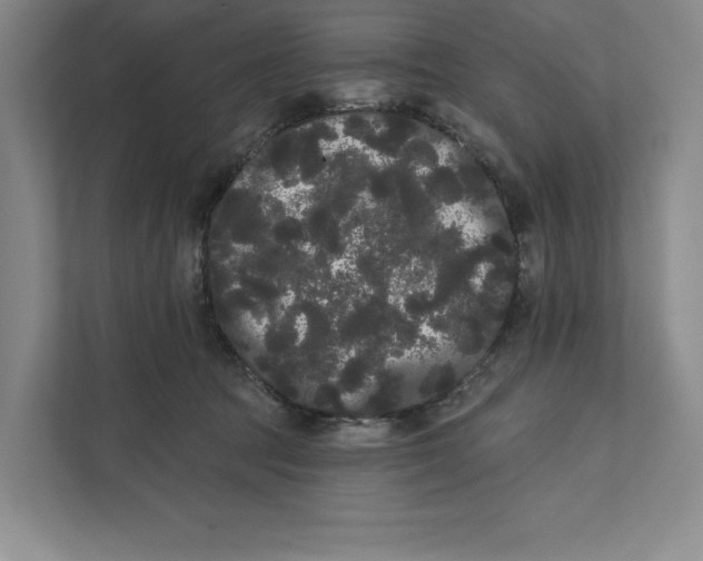 X0000111460369200908031344