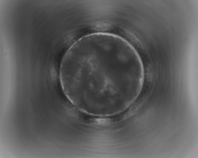 X0000111460371200908031344