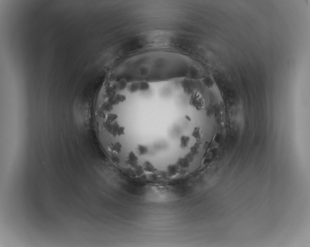 X0000111460372200908031344