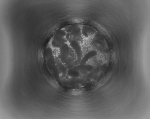 X0000111460373200908031344