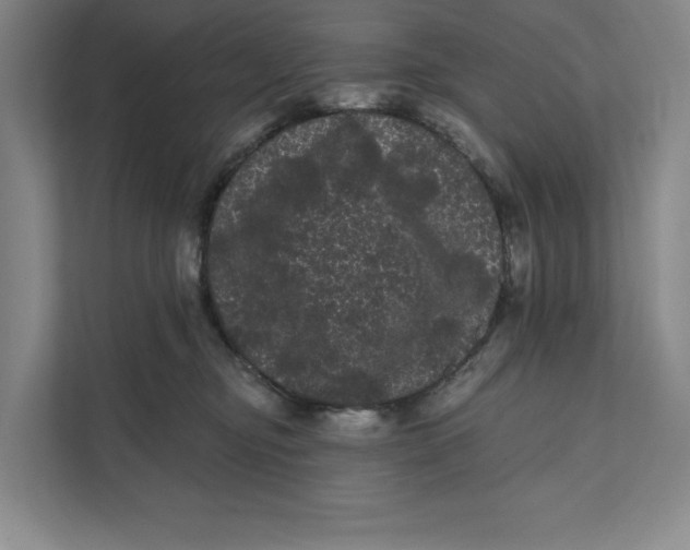 X0000111460374200908031344