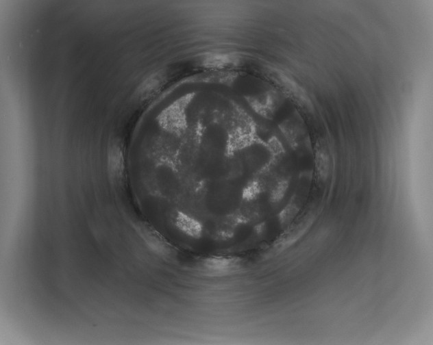 X0000111460375200908031344