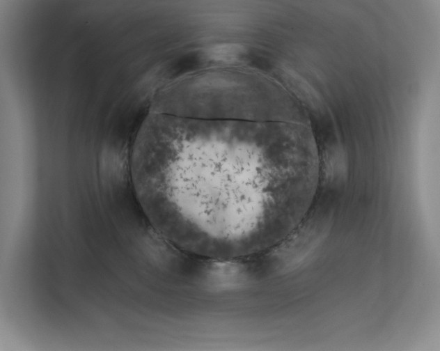 X0000111460376200908031344