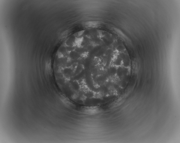 X0000111460377200908031344