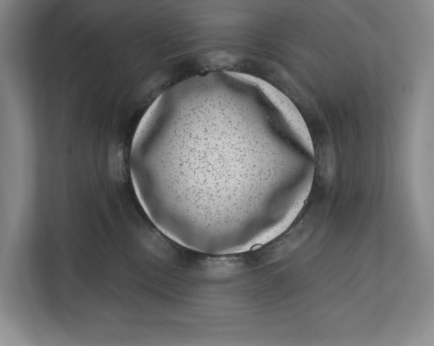 X0000111460378200908031344