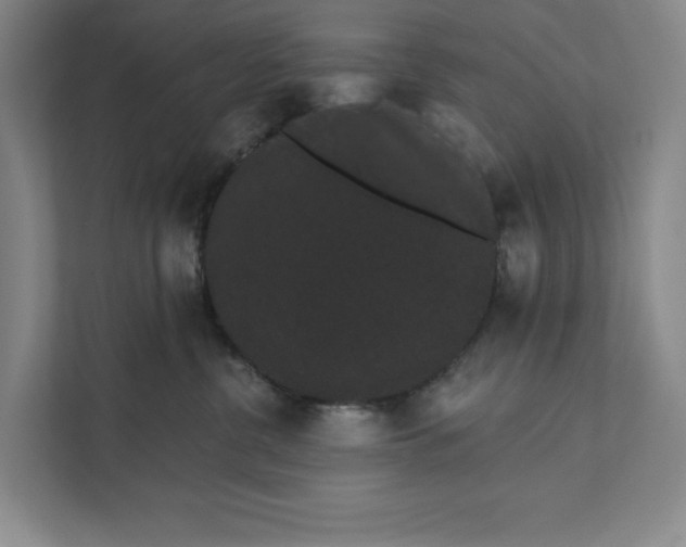 X0000111460380200908031344
