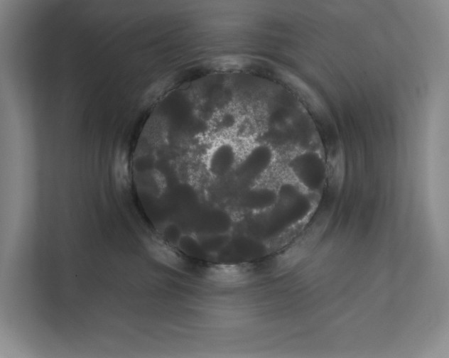 X0000111460381200908031344