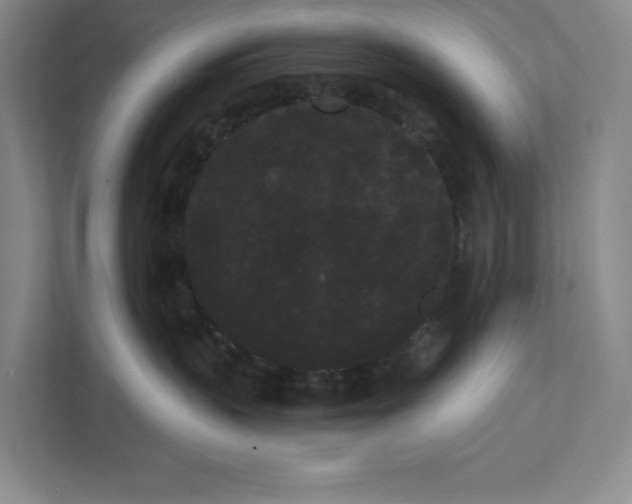 X0000111460383200908031345