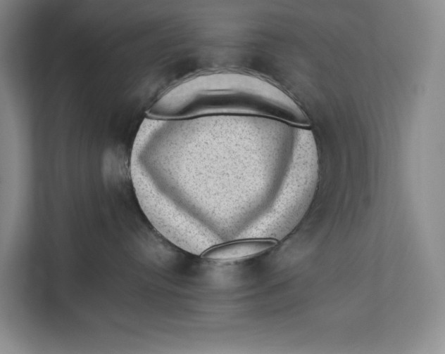 X0000111460384200908031345