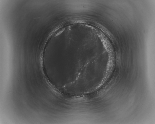 X0000111460386200908031344