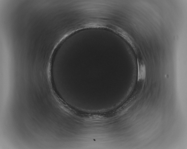 X0000111460387200908031344