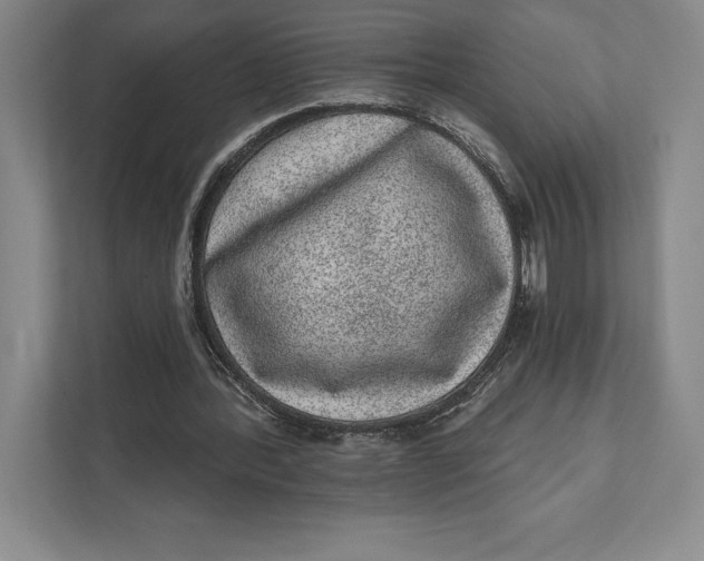 X0000111460388200908031344