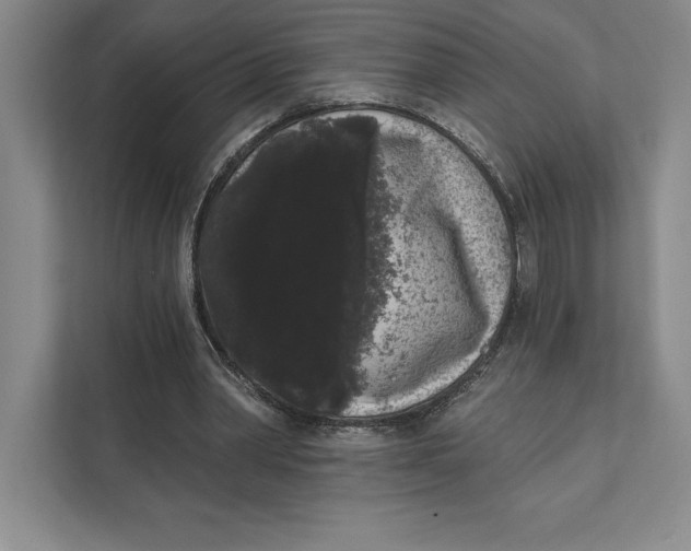 X0000111460390200908031344